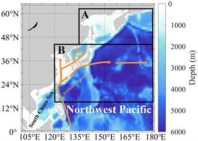 Spatiotemporal evolution of air-sea CO2 flux in the Northwest Pacific and its response to ENSO